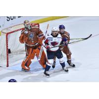 South Carolina Stingrays forward Ben Hawerchuk in front of the Orlando Solar Bears goal