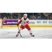 Grand Rapids Griffins defenseman William Wallinder