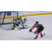 Wichita Thunder's Kobe Walker versus Idaho Steelheads' Bryan Thomson