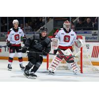 Peterborough Petes centre Aiden Young against the Ottawa 67's