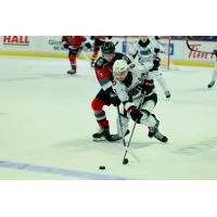 Vancouver Giants right wing Ty Halaburda vs. the Kelowna Rockets