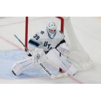 Goaltender Connor Ingram with the Utah Hockey Club