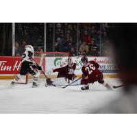 Peterborough Petes goaltender Easton Rye in action