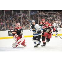 Grand Rapids Griffins goaltender Ville Husso vs. the Cleveland Monsters