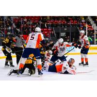 Flint Firebirds battle the Brantford Bulldogs