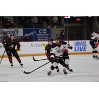 Saginaw Spirit defenseman Zayne Parekh