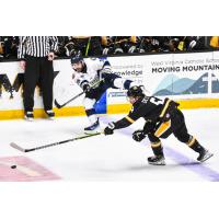 Worcester Railers' Griffin Loughran versus Wheeling Nailers' Mathieu De St. Phalle