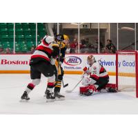 Belleville Senators goaltender Michael Simpson vs. the Wilkes-Barre/Scranton Penguins